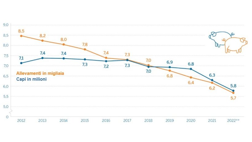 Allevamenti di suini* e censimento nella Renania Settentrionale-Vestfalia al 3 novembre. Fonte: IT NRW.
*Aziende con almeno 50 suini o almeno 10 scrofe riproduttrici.
